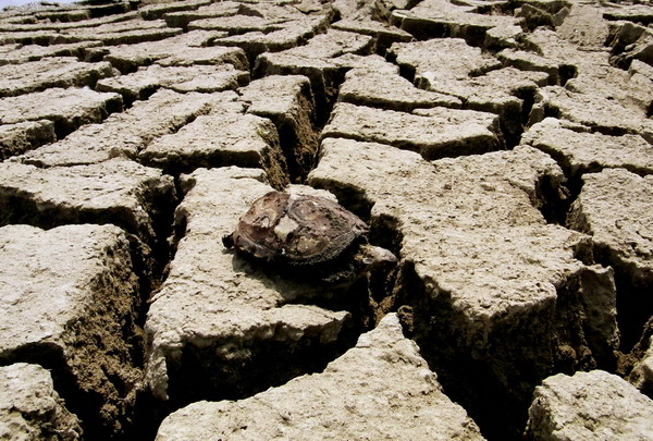 Drought hits Central and East China