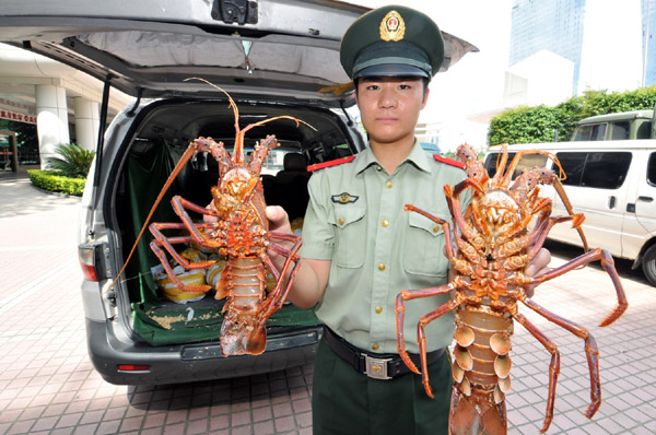 Border guard net smuggled lobsters