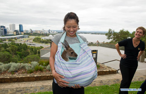 Li Na says 'cheese' with baby kangaroo in Australia