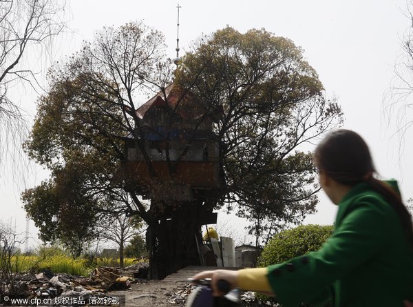 8,000 yuan tree house to be axed
