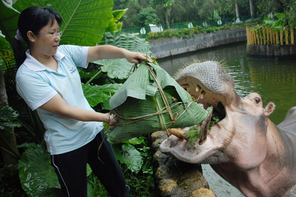 Dragon-sized snacks for animals in Shenzhen