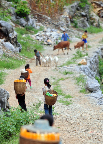 Simple life of summer in the mountains