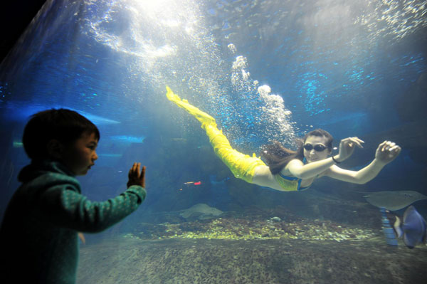 A 24-year-old's aquarium fairy tale