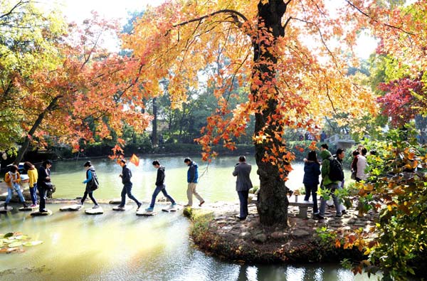 Golden autumn shimmers around China