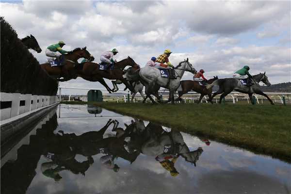 Horse races at Cheltenham Festival