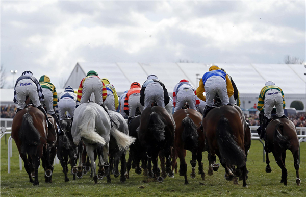 Horse races at Cheltenham Festival