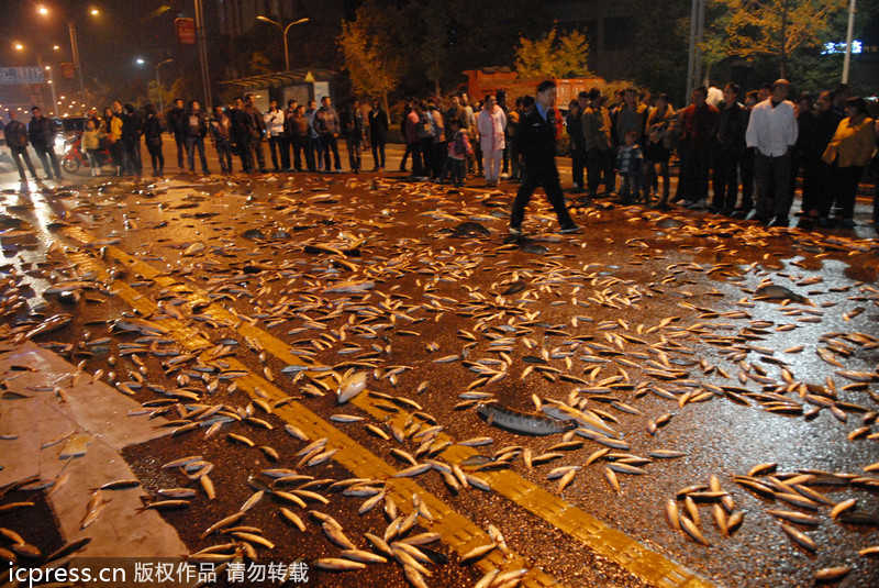 Massive fish spill in C China