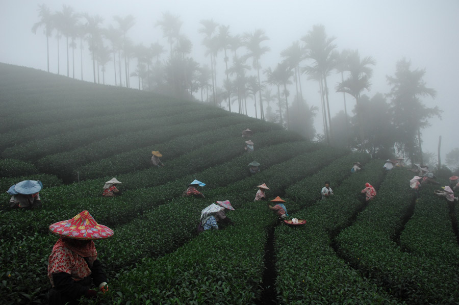 Photographers' lenses on Taiwan