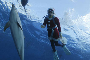 Freediver takes cheeky selfie with sperm whale