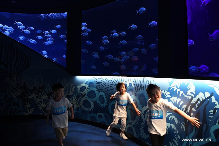 Sea Life aquarium center opens in SW China