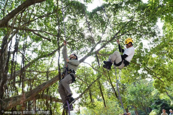 Tree climbing as PE fashion in campus
