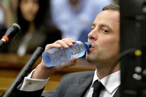 Pistorius vomits at Steenkamp autopsy details in court
