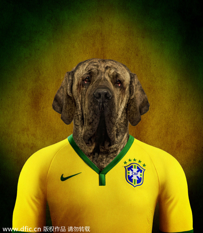 Dogs in national football team jerseys