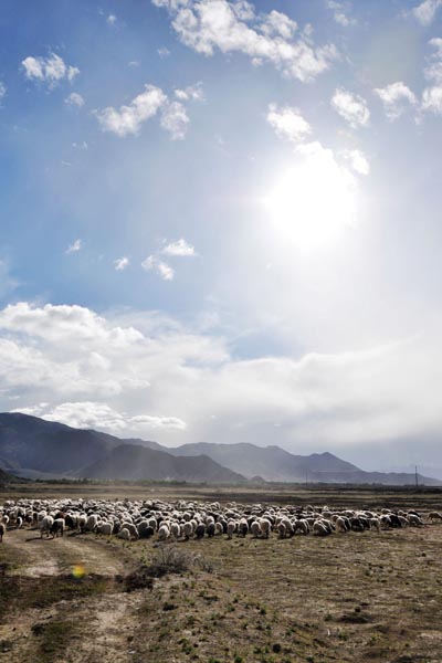Tibet's transformation seen through reporters' eyes