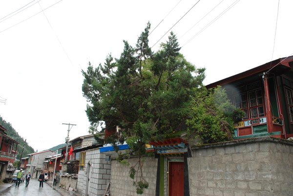 Tibet through the Lens -- Border Town