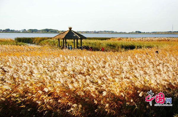 Zhalong Nature Reserve in Heilongjiang