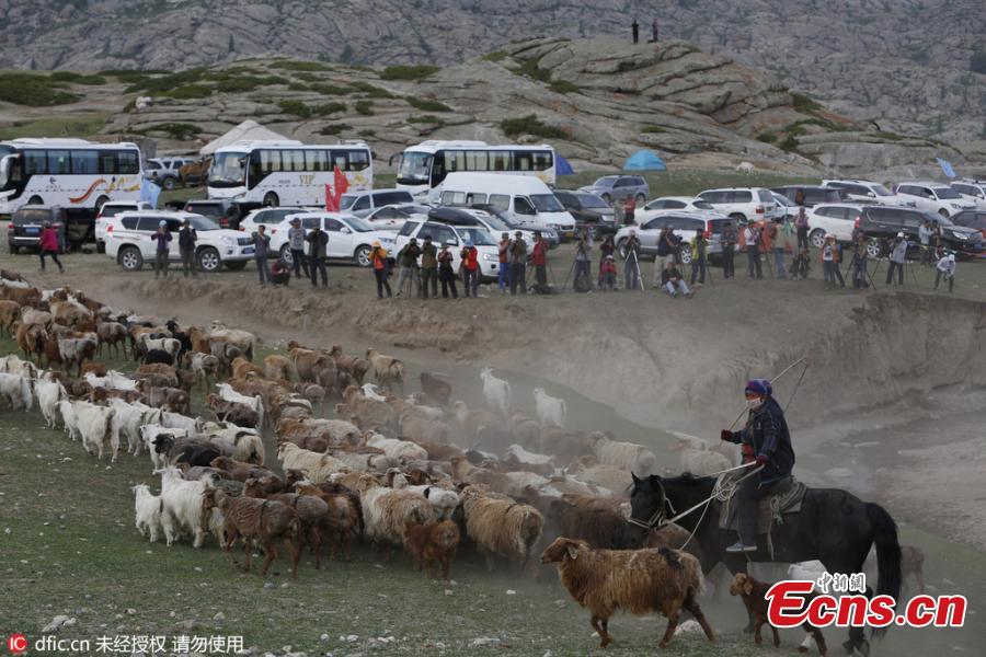 Seasonal livestock migration in Altay