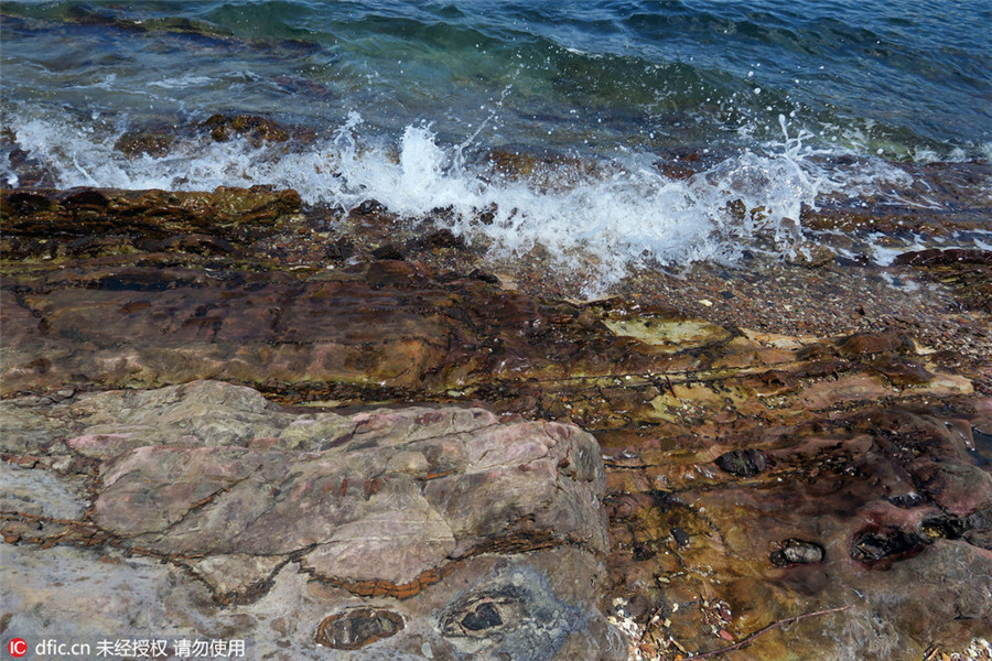 Ma Shi Chau: Beautiful geological park in HK