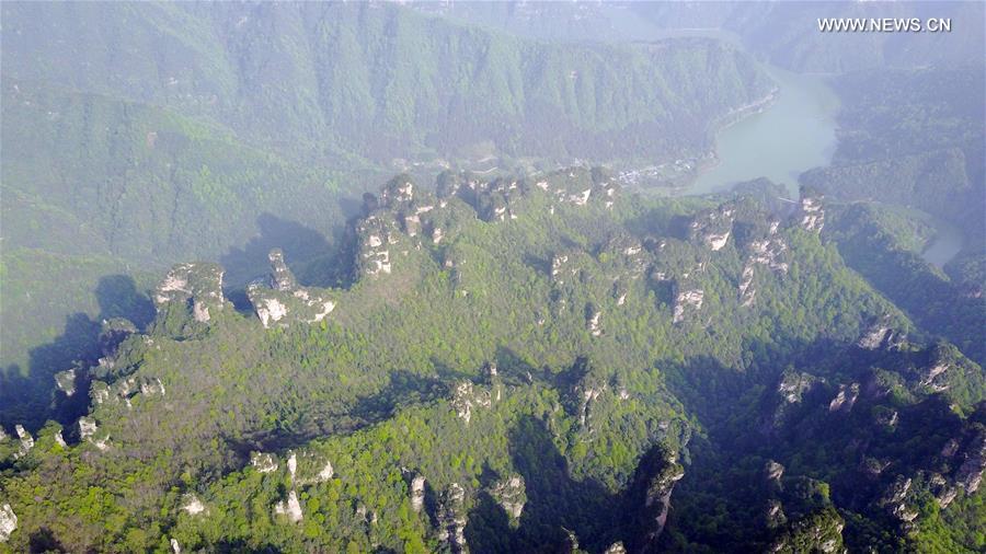 Scenery of Zhangjiajie national forest park in C China