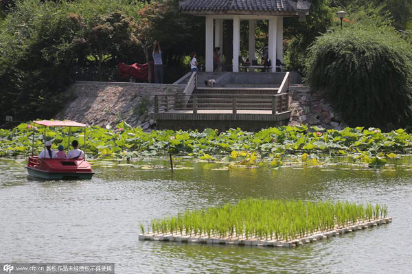 Market plunge leads to Weibo self-mockery