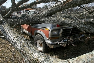 A fallen tree rests atop a crushed pickup truck after an early morning tornado moved through Caulfield, Mo., Thursday, March 1, 2007. Tornadoes swept through southern Missouri around dawn Thursday, damaging homes and businesses and killing at least one person a few hours after another twister touched down in neighboring Kansas, authorities said. A 7-year-old child died in the storm, and there were reports of people missing from the Caulfield area, said Missouri State Highway Patrol Sgt. Marty Elmore.
