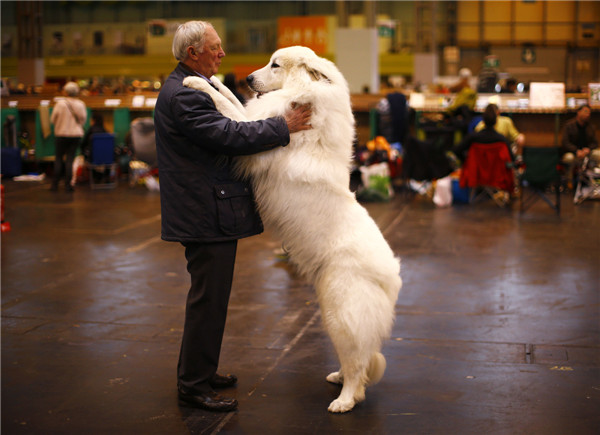 Crufts dog show kicks off in Birmingham, England