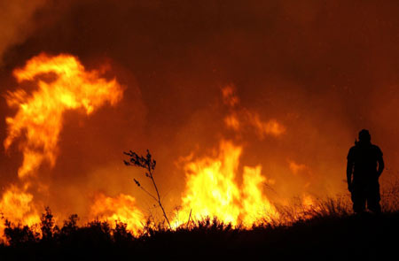 Dozens of wildfires reported in Greece