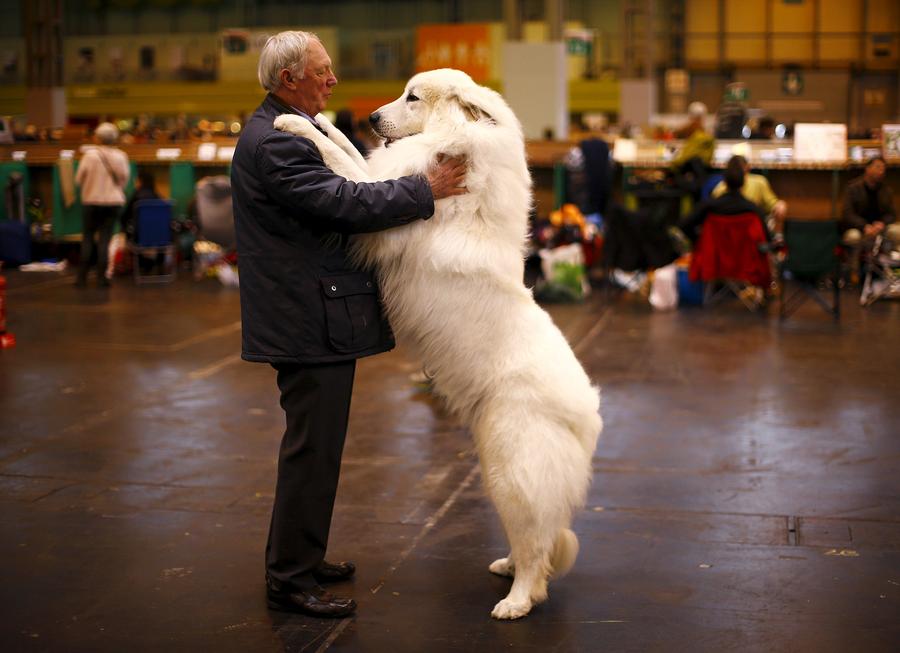 Reuters' most popular Instagram photos of 2015