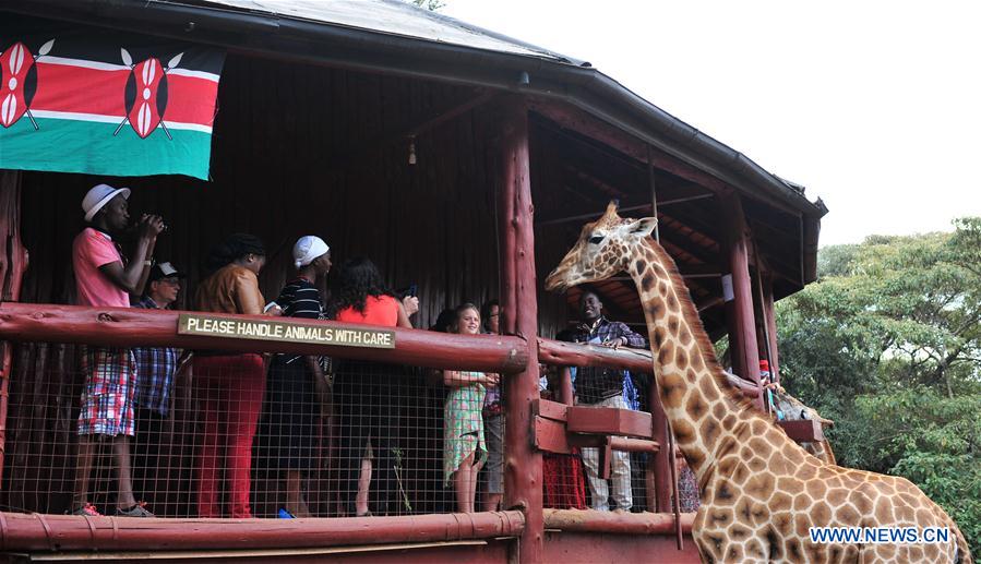 Tourists visit giraffe Center in Kenya