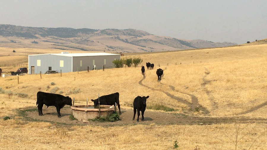 Cowboy ambassador in Montana agriculture forum