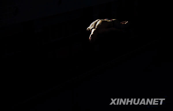 光影备战[组图]