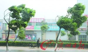 台风巨爵造成广东百万人受灾1人失踪(组图)