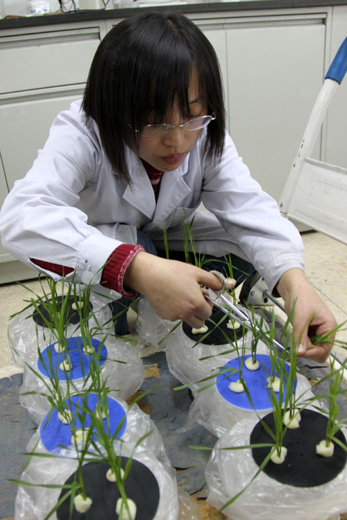 73名外国嘉宾“走进中国科学院”